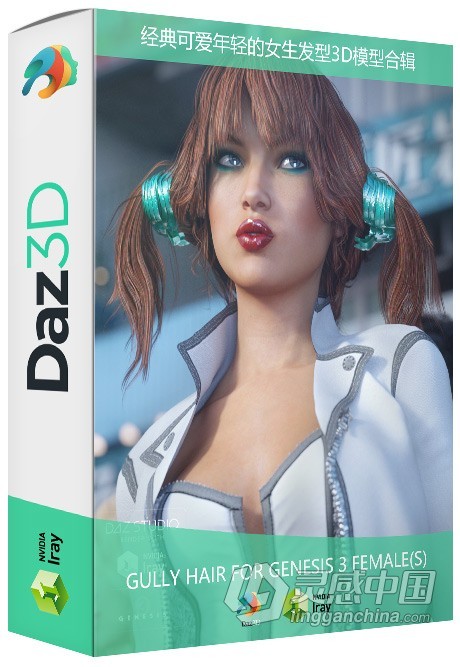 经典可爱年轻的女生发型3D模型合辑 Gully Hair for Genesis 3 Female(s)  福风灵感网 www.ffidea.com