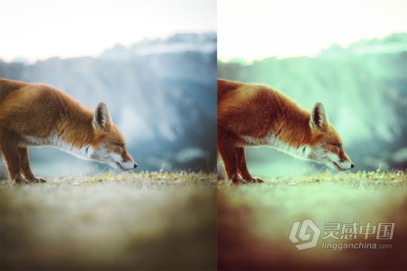 40个现代调色PS动作 40 Modern Photoshop Actions 8  福风灵感网 www.ffidea.com
