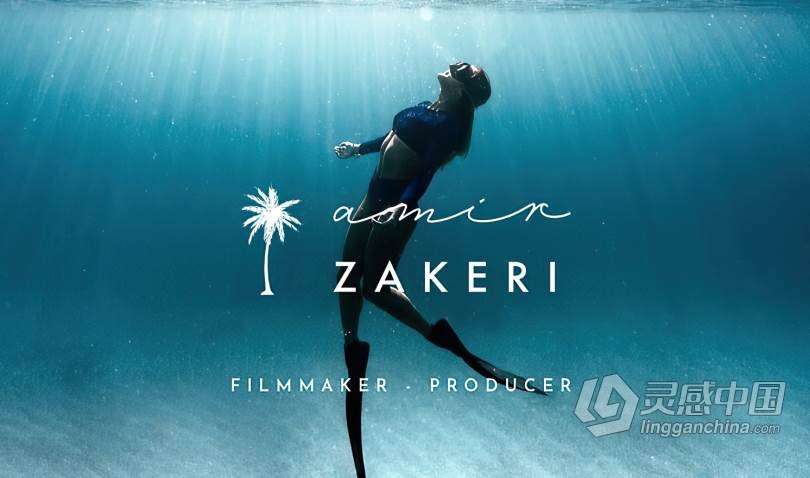 专职电影制作人Amir Zakeri视频拍摄及后期编辑大师班课程 中文字幕 Amir Zakeris Masterclass  福风灵感网 www.ffidea.com