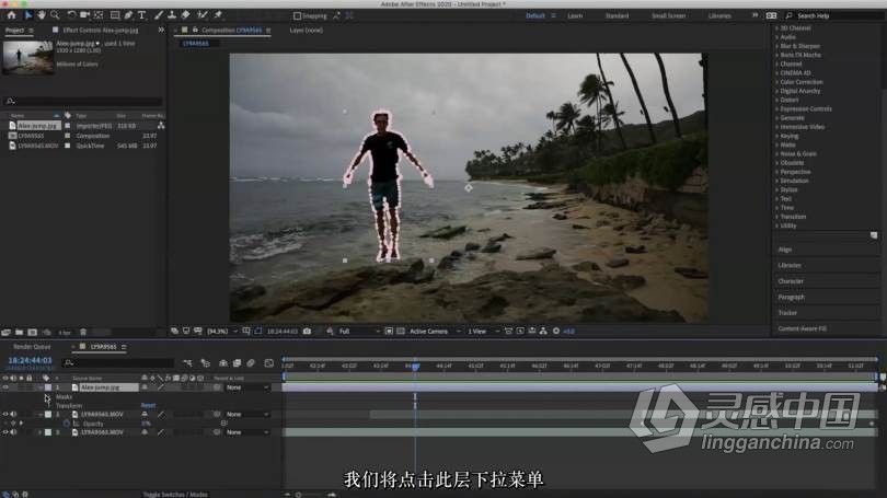 专职电影制作人Amir Zakeri视频拍摄及后期编辑大师班课程 中文字幕 Amir Zakeris Masterclass  福风灵感网 www.ffidea.com