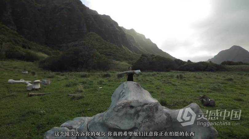 专职电影制作人Amir Zakeri视频拍摄及后期编辑大师班课程 中文字幕 Amir Zakeris Masterclass  福风灵感网 www.ffidea.com