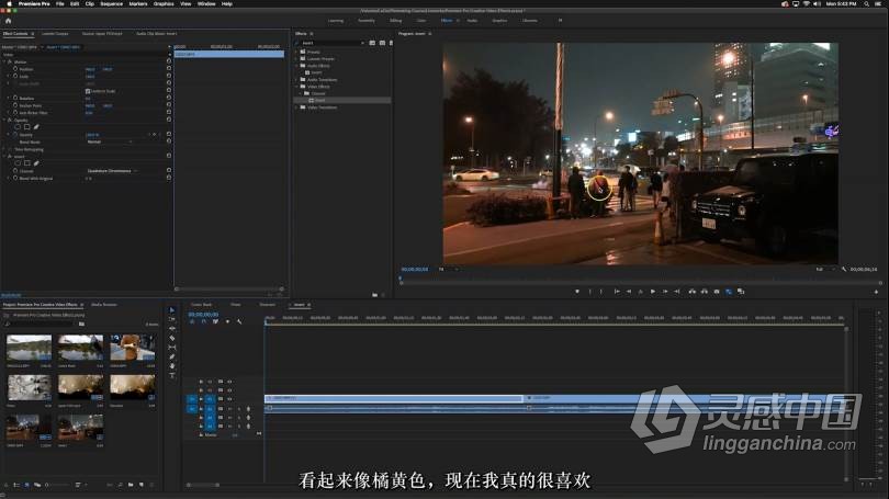 专职电影制作人Amir Zakeri视频拍摄及后期编辑大师班课程 中文字幕 Amir Zakeris Masterclass  福风灵感网 www.ffidea.com