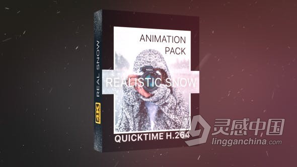 21个逼真的4K分辨率完美降雪下雪效果雪动画视频素材 Realistic Snow Effects Pack  福风灵感网 www.ffidea.com