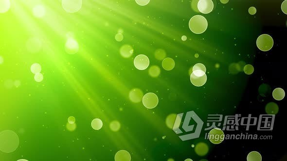 优雅散景柔和变焦清新光线粒子背景适用于舞台表演时装秀等视频素材 Elegant Light Bokeh 1  福风灵感网 www.ffidea.com