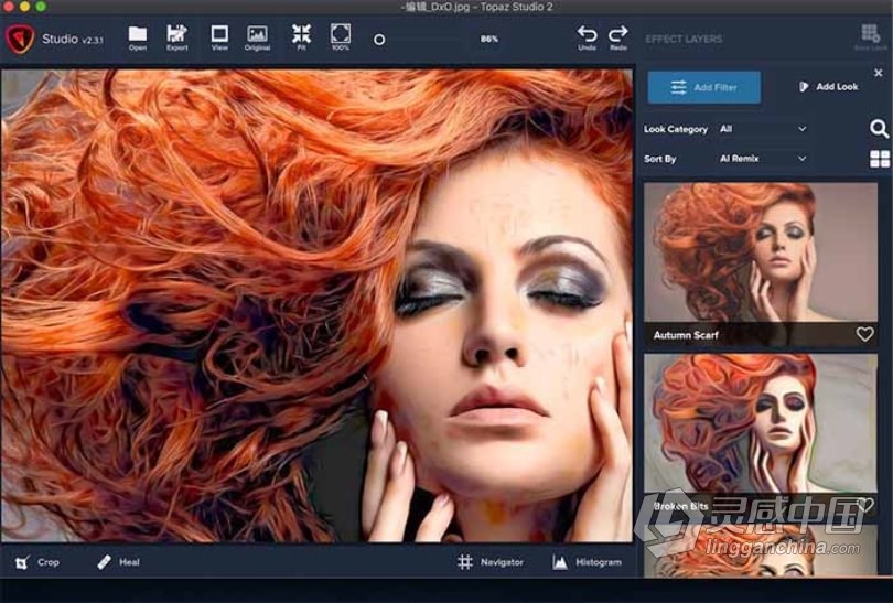 Topaz Studio for Mac(创意艺术图像处理插件)v2.3.2最新版  福风灵感网 www.ffidea.com