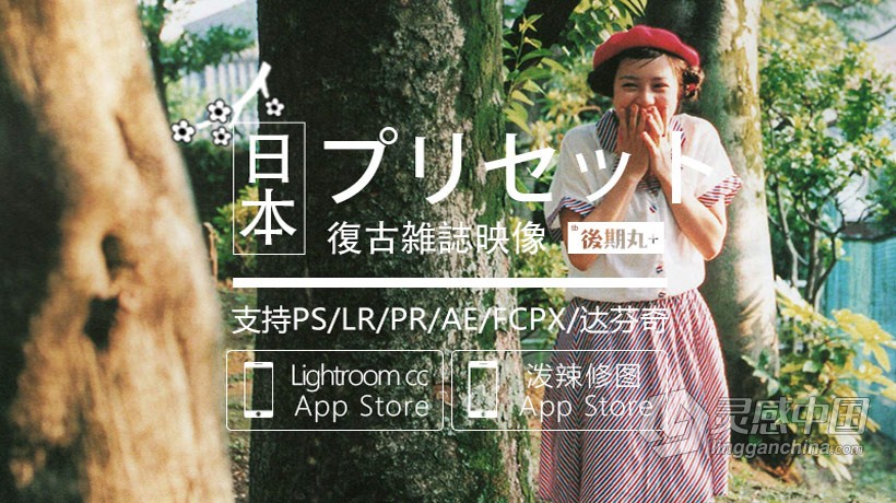 LUT预设 日系复古胶片杂志人像博主风视频调色LR预设+LUT预设 支持PS/PR/AE/LR/FCPX/达芬奇  福风灵感网 www.ffidea.com