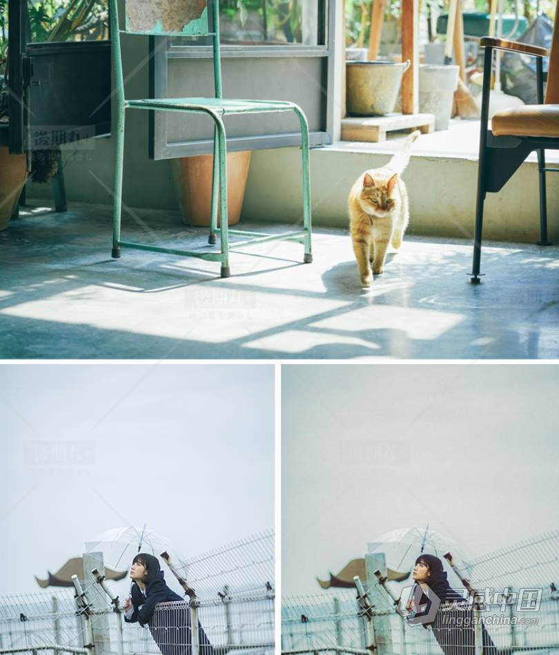 LUT预设 日系复古胶片杂志人像博主风视频调色LR预设+LUT预设 支持PS/PR/AE/LR/FCPX/达芬奇  福风灵感网 www.ffidea.com