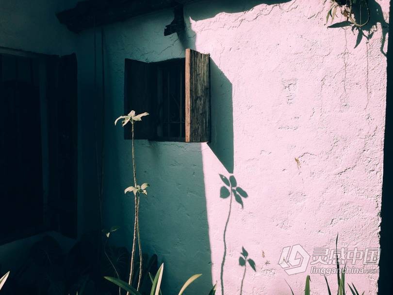 LUT预设 VSCO全滤镜转LUTs预设日系胶片风光预设人像旅拍婚礼LUT预设 VSCO MP2 支持PS/PR/AE/LR/FCPX/达芬奇  福风灵感网 www.ffidea.com