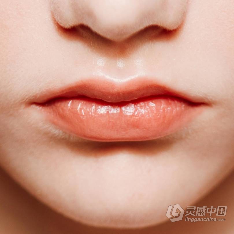 LUT预设 VSCO全滤镜转LUTs预设日系胶片风光预设人像旅拍婚礼LUT预设 VSCO MP2 支持PS/PR/AE/LR/FCPX/达芬奇  福风灵感网 www.ffidea.com