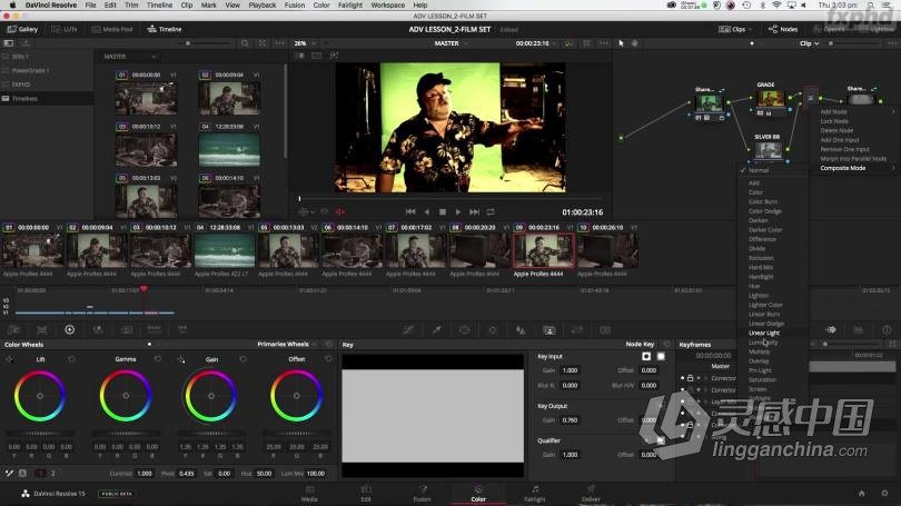 FXPHD Warren Eagles - DaVinci Resolve达芬奇高级调色教程-附中英字幕  福风灵感网 www.ffidea.com