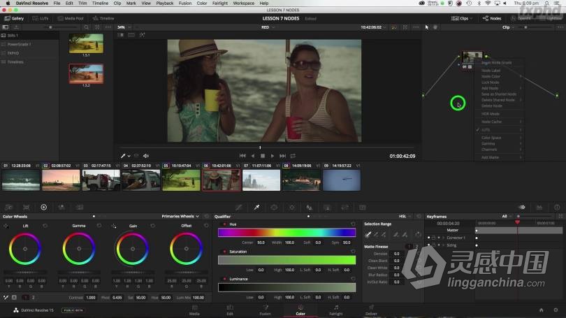 FXPHD Warren Eagles - DaVinci Resolve达芬奇高级调色教程-附中英字幕  福风灵感网 www.ffidea.com