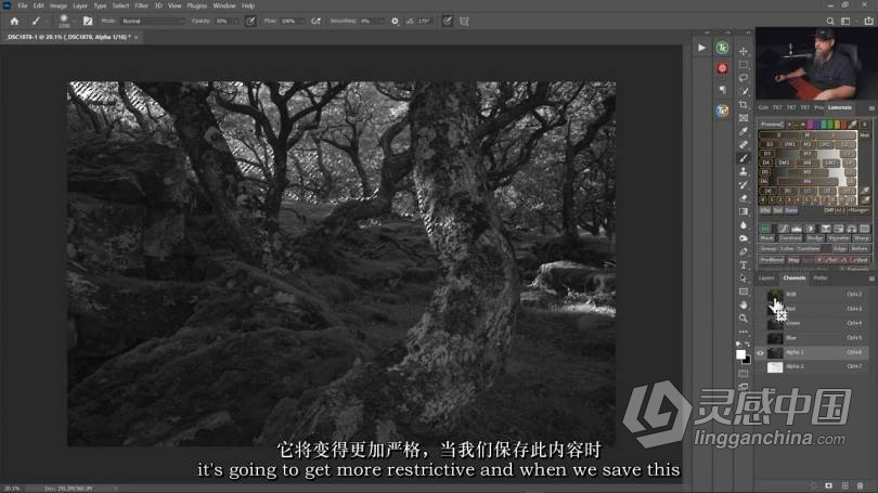 摄影教程 尼克·佩奇(Nick Page)风光摄影后期掌握亮度蒙版第二部-中英字幕  福风灵感网 www.ffidea.com