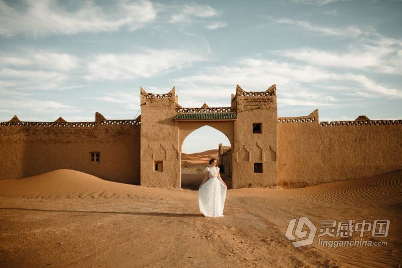 LR预设 2021年群岛胶片部落会员制任务03 LR预设胶片预设包 Archipelago Quest 03  福风灵感网 www.ffidea.com