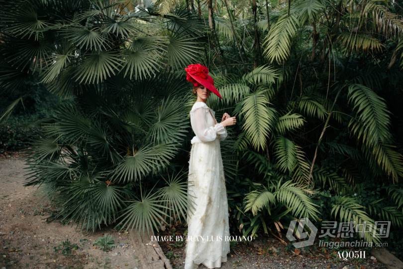 LR预设 2021年群岛胶片部落会员制任务03 LR预设胶片预设包 Archipelago Quest 03  福风灵感网 www.ffidea.com