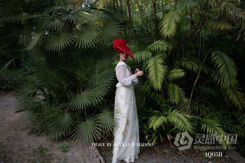 LR预设 2021年群岛胶片部落会员制任务03 LR预设胶片预设包 Archipelago Quest 03  福风灵感网 www.ffidea.com