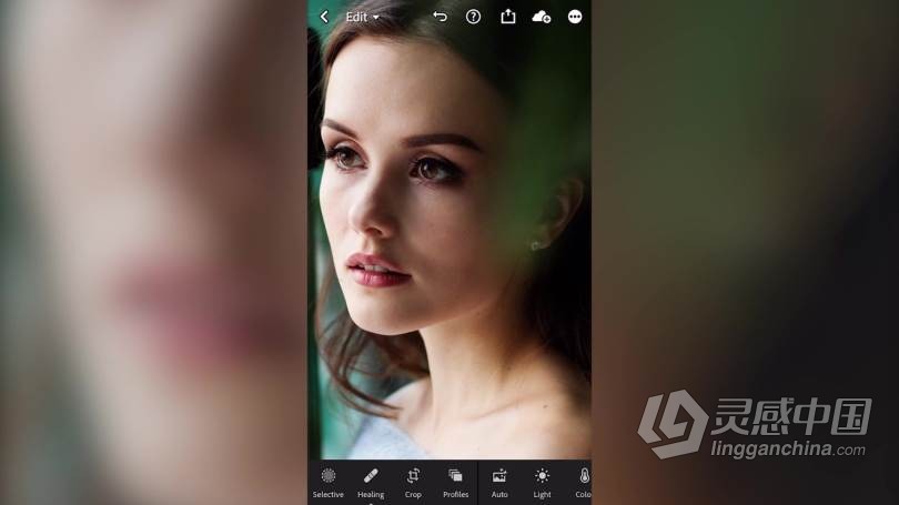 Lightroom移动版后期教程| 如何像专业人士一样编辑iPhone摄影-附中英字幕  福风灵感网 www.ffidea.com