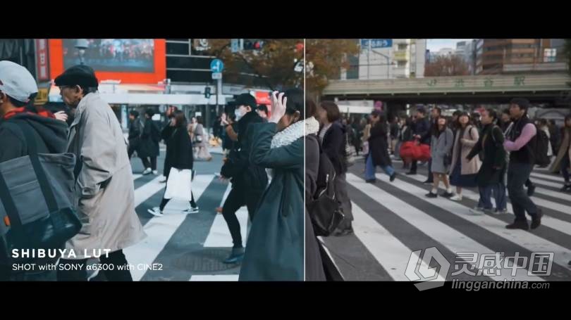 LUT预设 油管大神AUXOUT –索尼CINE2老式复古电影Vlog视频调色LUT预设 CINEMATIC LUT PACK '17  福风灵感网 www.ffidea.com