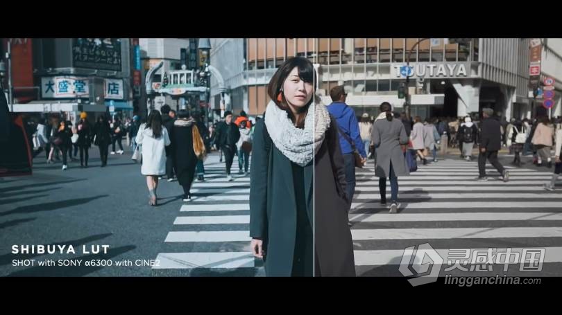 LUT预设 油管大神AUXOUT –索尼CINE2老式复古电影Vlog视频调色LUT预设 CINEMATIC LUT PACK '17  福风灵感网 www.ffidea.com