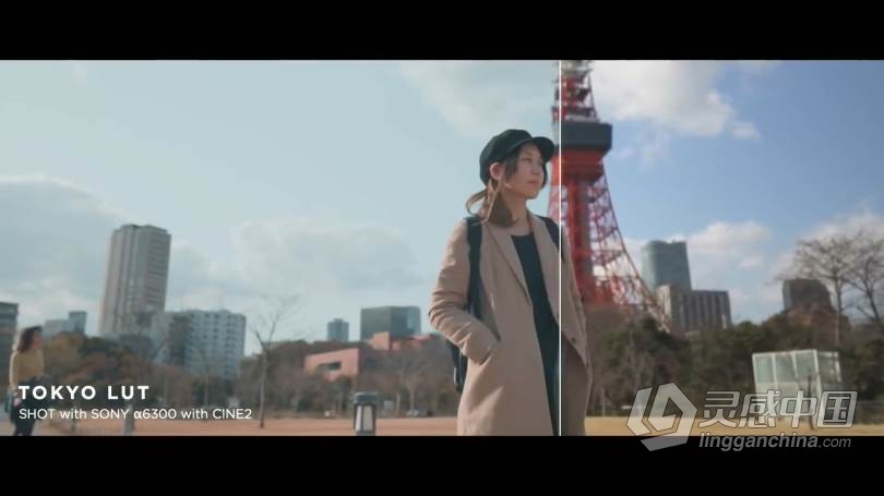 LUT预设 油管大神AUXOUT –索尼CINE2老式复古电影Vlog视频调色LUT预设 CINEMATIC LUT PACK '17  福风灵感网 www.ffidea.com