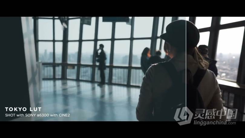 LUT预设 油管大神AUXOUT –索尼CINE2老式复古电影Vlog视频调色LUT预设 CINEMATIC LUT PACK '17  福风灵感网 www.ffidea.com