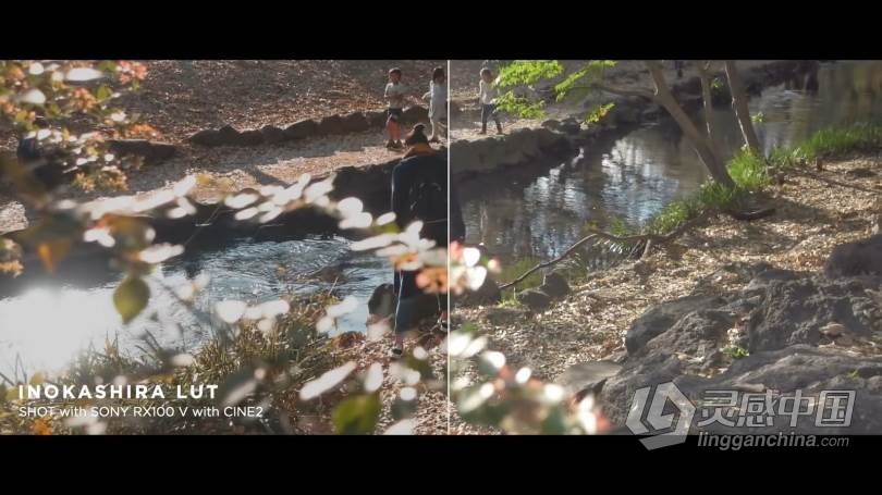 LUT预设 油管大神AUXOUT –索尼CINE2老式复古电影Vlog视频调色LUT预设 CINEMATIC LUT PACK '17  福风灵感网 www.ffidea.com