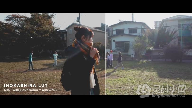 LUT预设 油管大神AUXOUT –索尼CINE2老式复古电影Vlog视频调色LUT预设 CINEMATIC LUT PACK '17  福风灵感网 www.ffidea.com