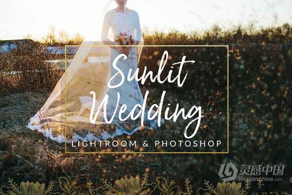 阳光下的婚礼Lightroom预设与Photoshop (xmp)预设 Sunlit Wedding Presets  福风灵感网 www.ffidea.com