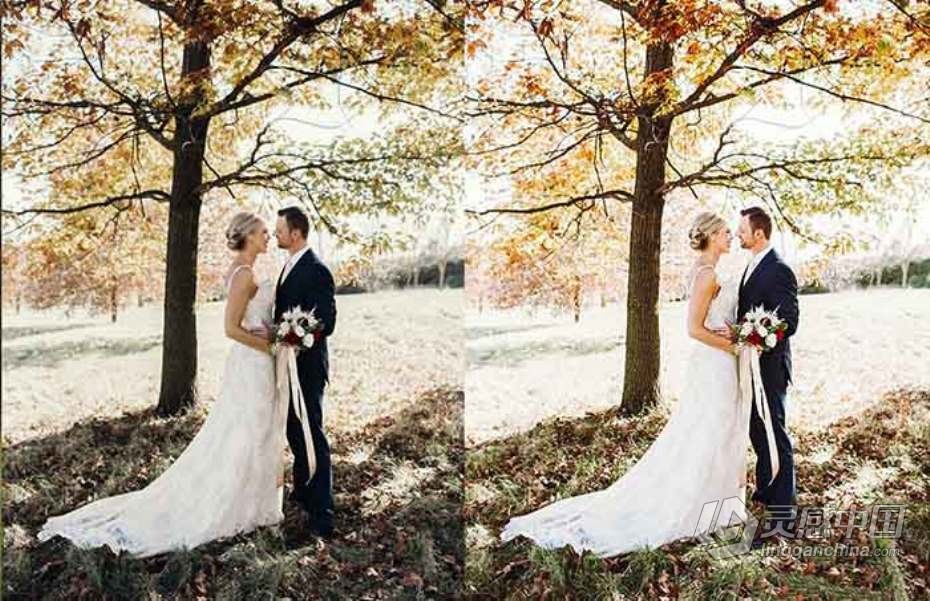 阳光下的婚礼Lightroom预设与Photoshop (xmp)预设 Sunlit Wedding Presets  福风灵感网 www.ffidea.com
