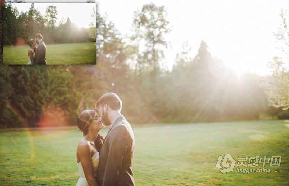 阳光下的婚礼Lightroom预设与Photoshop (xmp)预设 Sunlit Wedding Presets  福风灵感网 www.ffidea.com