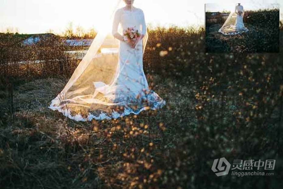阳光下的婚礼Lightroom预设与Photoshop (xmp)预设 Sunlit Wedding Presets  福风灵感网 www.ffidea.com