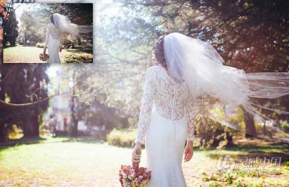 阳光下的婚礼Lightroom预设与Photoshop (xmp)预设 Sunlit Wedding Presets  福风灵感网 www.ffidea.com