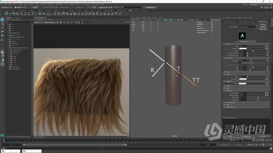 Maya教程 Maya中XGen角色毛发实例制作大师级教程  福风灵感网 www.ffidea.com