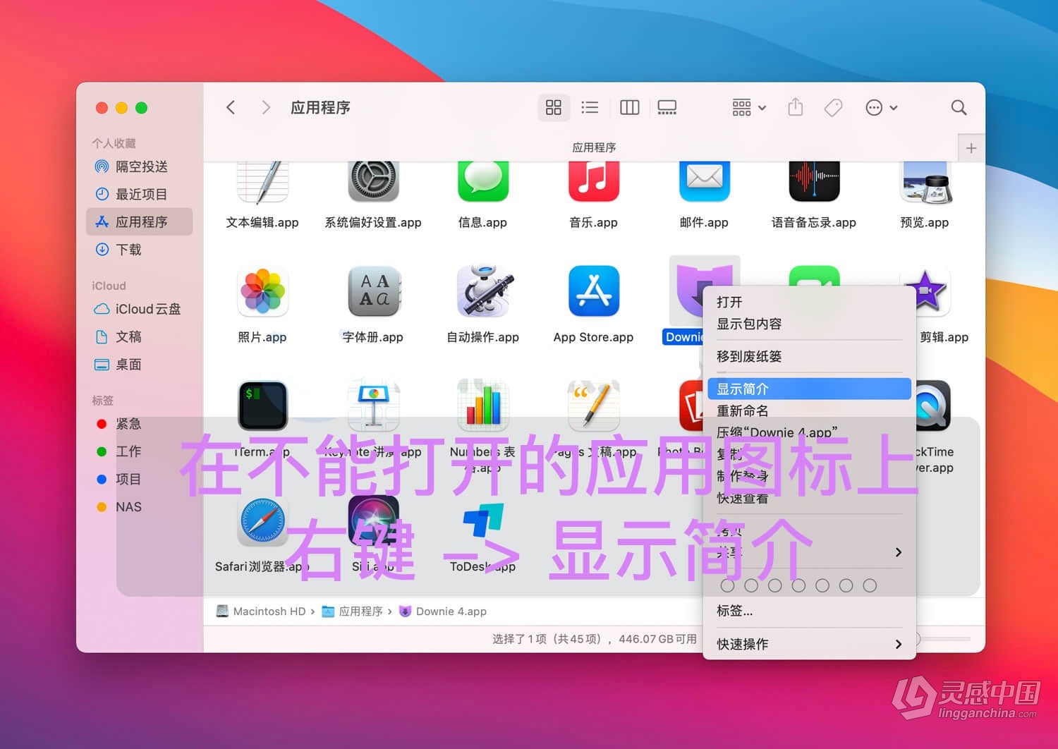 MAC新款Apple Silicon M1设备，应用安装后运行闪退怎么办？解决方法教程  福风灵感网 www.ffidea.com