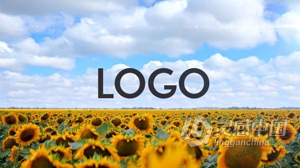 达芬奇模板 向日葵花田阳光明媚实拍视频场景LOGO片头动画 DaVinci Resolve模板 工程 文件  福风灵感网 www.ffidea.com
