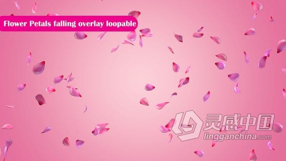 视频素材 带Alpha透明通道玫瑰花瓣飘落合成视频素材下载  福风灵感网 www.ffidea.com