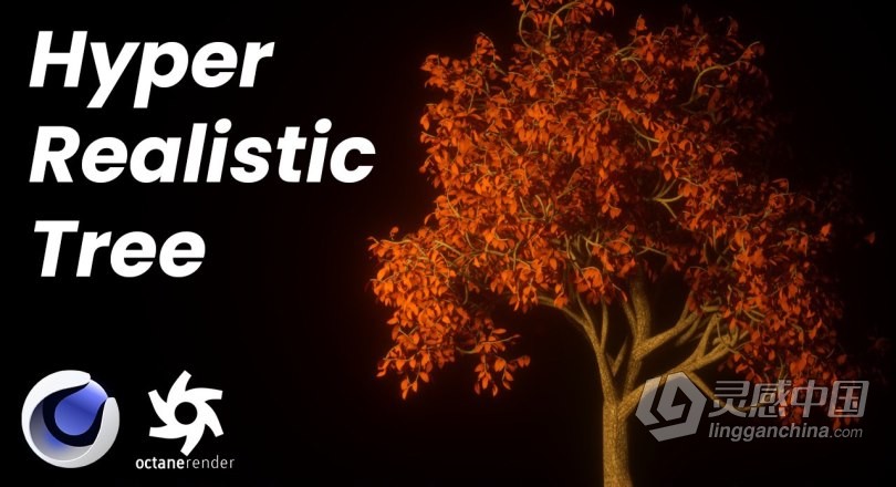 C4D与Octane逼真自然树场景实例制作视频教程 How to make an Easy Realistic Nature Tree Scene in Cin  福风灵感网 www.ffidea.com