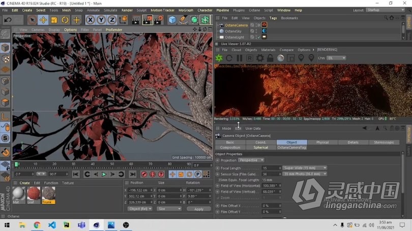 C4D与Octane逼真自然树场景实例制作视频教程 How to make an Easy Realistic Nature Tree Scene in Cin  福风灵感网 www.ffidea.com
