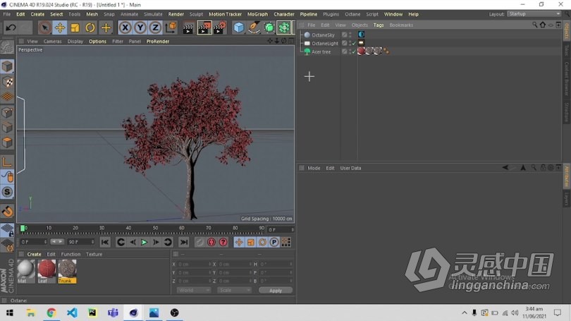 C4D与Octane逼真自然树场景实例制作视频教程 How to make an Easy Realistic Nature Tree Scene in Cin  福风灵感网 www.ffidea.com