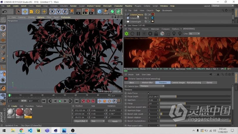 C4D与Octane逼真自然树场景实例制作视频教程 How to make an Easy Realistic Nature Tree Scene in Cin  福风灵感网 www.ffidea.com