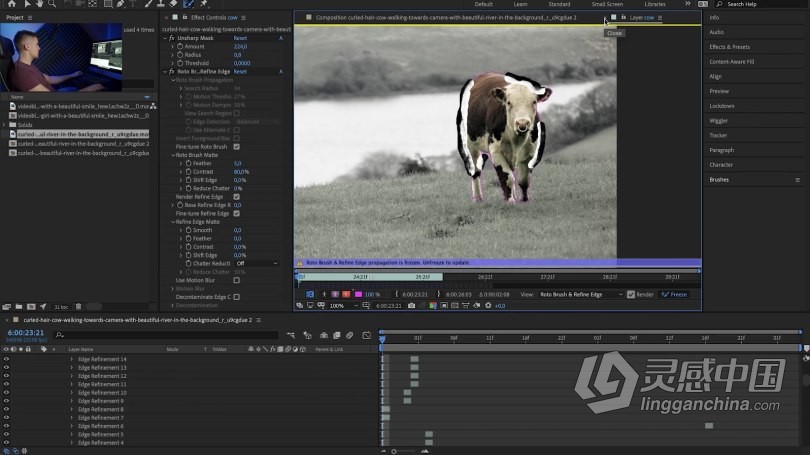 AE教程 电影制作人VFX视觉特效制作指南训练视频教程  福风灵感网 www.ffidea.com