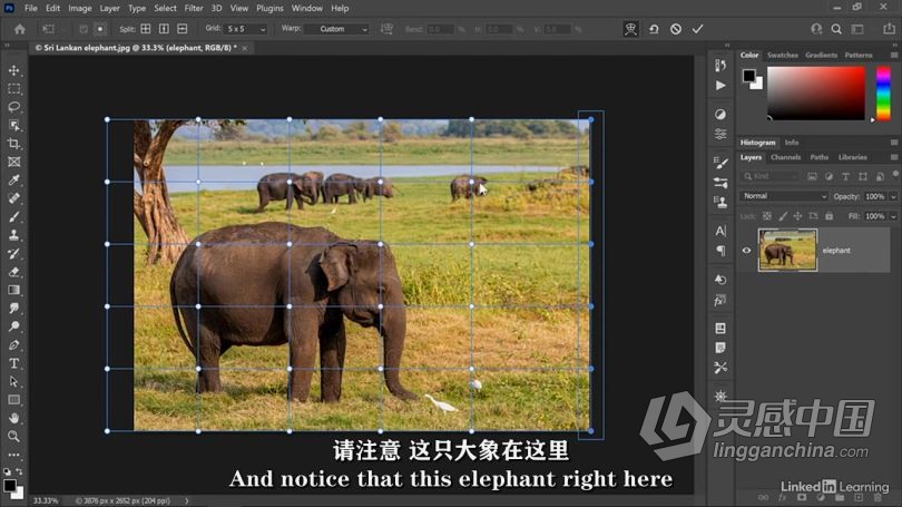 PS教程 Photoshop 2021一对一高级技能训练视频教程 中文字幕  福风灵感网 www.ffidea.com