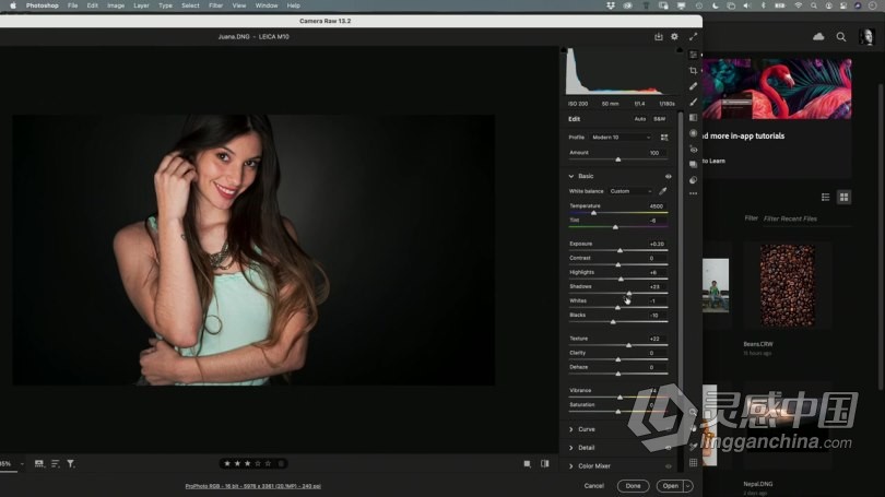 PS教程 PS初学者修饰调整人像写真摄影图像后期处理视频教程  福风灵感网 www.ffidea.com