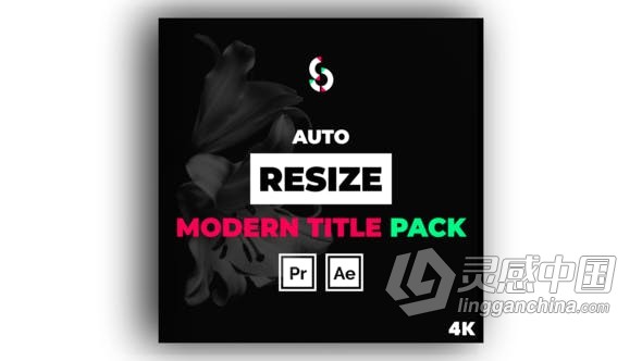 PR模板 4K自动调整大小的现代企业介绍文字动画字幕条标题包 PR工程 PR预设 Premiere文件下载  福风灵感网 www.ffidea.com