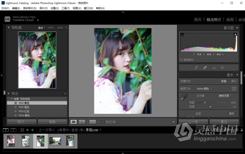 Lr 2022正式版 Adobe Lightroom Classic 11.0.0 Win x64系统一键安装完整版  福风灵感网 www.ffidea.com