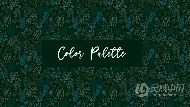 Ai教程 Illustrator初学者花卉植物重复图案平面插图设计视频教程 中文字幕  福风灵感网 www.ffidea.com