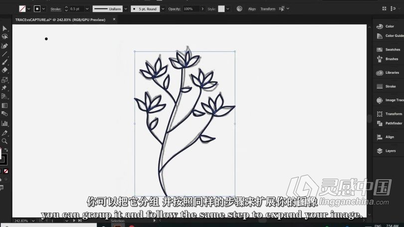 Ai教程 Illustrator初学者花卉植物重复图案平面插图设计视频教程 中文字幕  福风灵感网 www.ffidea.com