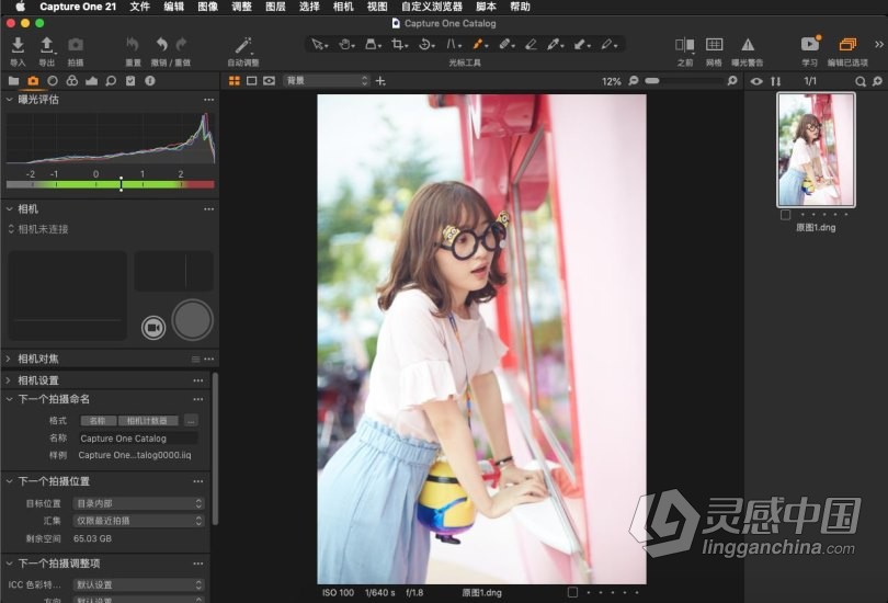 飞思软件Capture One 21 Pro v14.4.1.16 MAC正式版|RAW转换和图像编Capture One 21 Pro v14.4.1.16  福风灵感网 www.ffidea.com