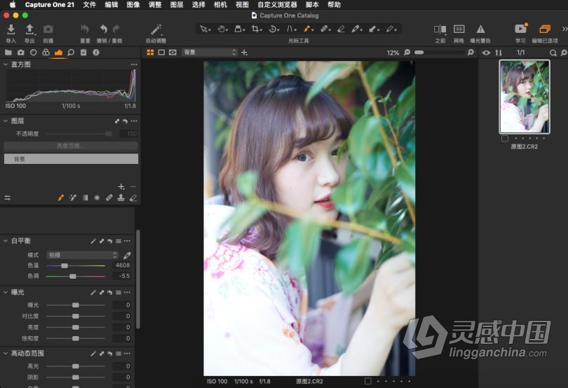 飞思软件Capture One 21 Pro v14.4.1.16 MAC正式版|RAW转换和图像编Capture One 21 Pro v14.4.1.16  福风灵感网 www.ffidea.com