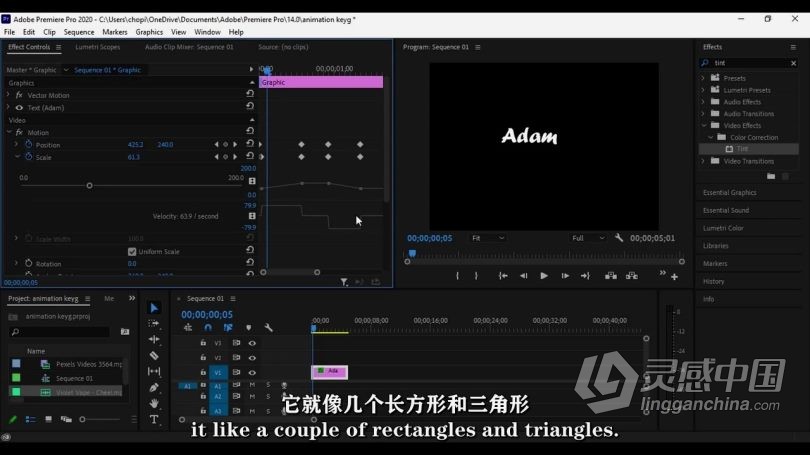Pr教程 Premiere Pro创意视频编辑技巧视频教程 中文字幕  福风灵感网 www.ffidea.com