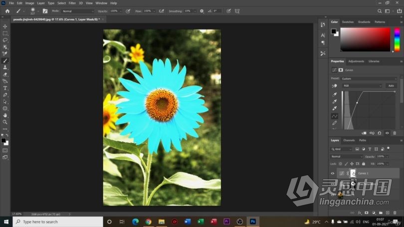 PS教程 PS初学者基础工具知识创建图层蒙版视频教程中文字幕  福风灵感网 www.ffidea.com